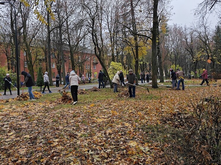 Сотрудники администрации Великих Лук вышли на субботник у Пушкинского сквера