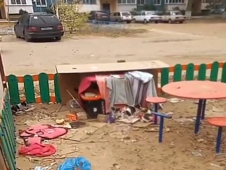 Детская площадка в Нариманове стала домом для бродячих собак