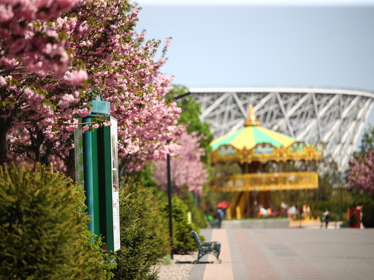 В центре Волгограда могут обустроить парк с капибарами