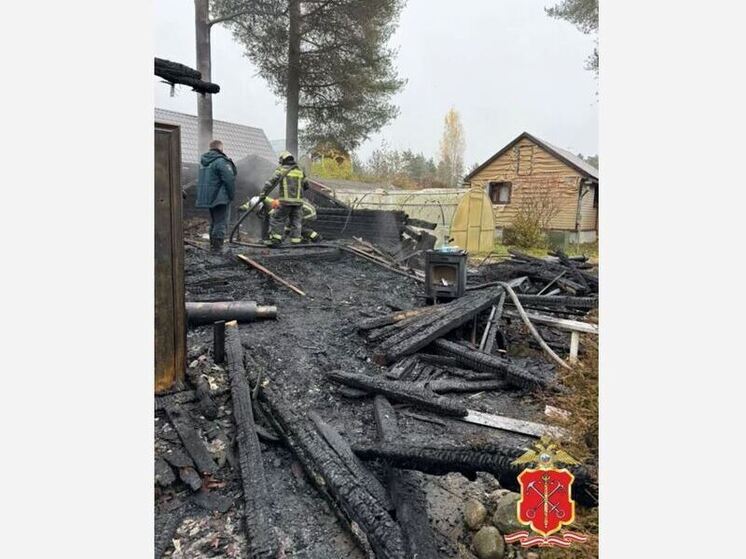 Житель Сертолово обиделся на бабушку и назло ей сжег дом, в котором жил