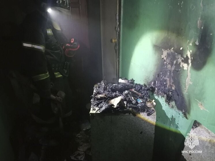 Пожар в сарае на Горсовета в Туле ликвидировали на площади 12 квадратных метров