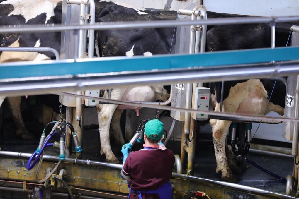 Carenza di personale qualificato nelle aree rurali degli Urali meridionali: sfida per lo sviluppo locale