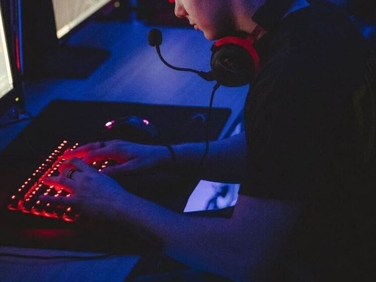 Фиджитал могут включить в соревнования Лиги школьного спорта Ленобласти