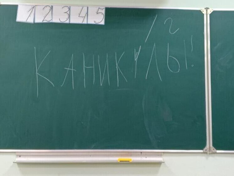 Ленинградским школьникам предложили провести осенние каникулы со смыслом