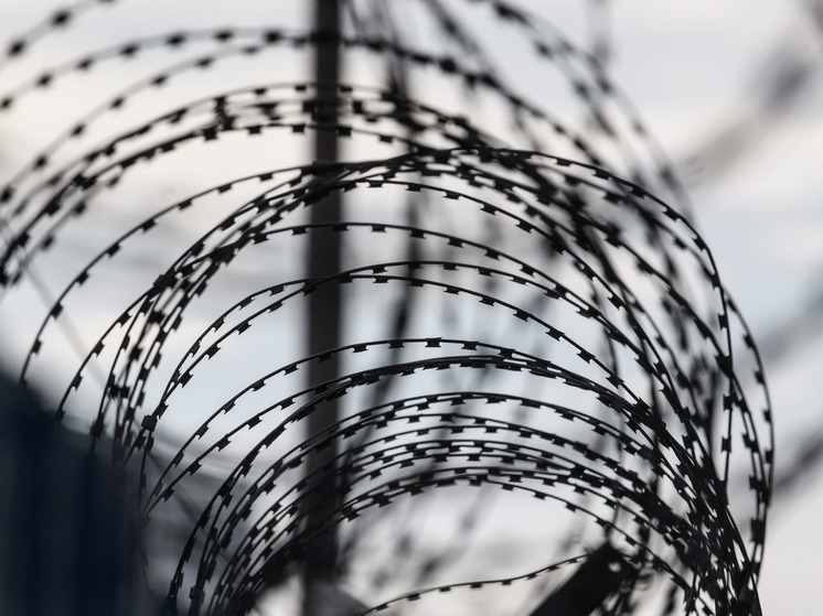 Sky News: В Британии за год ошибочно выпустили на свободу более 260 осужденных