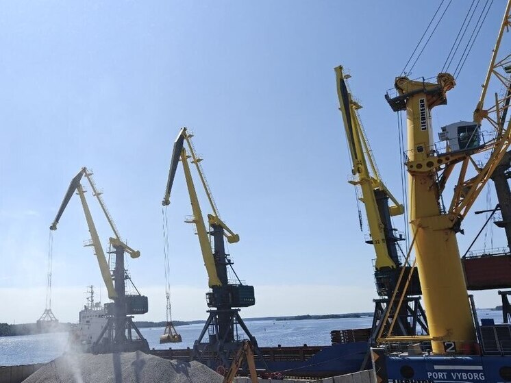 Между Петербургом и Бразилией запустят грузовое морское сообщение