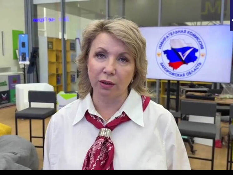 Запорожская администрация прокомментировала увольнение главы Избиркома