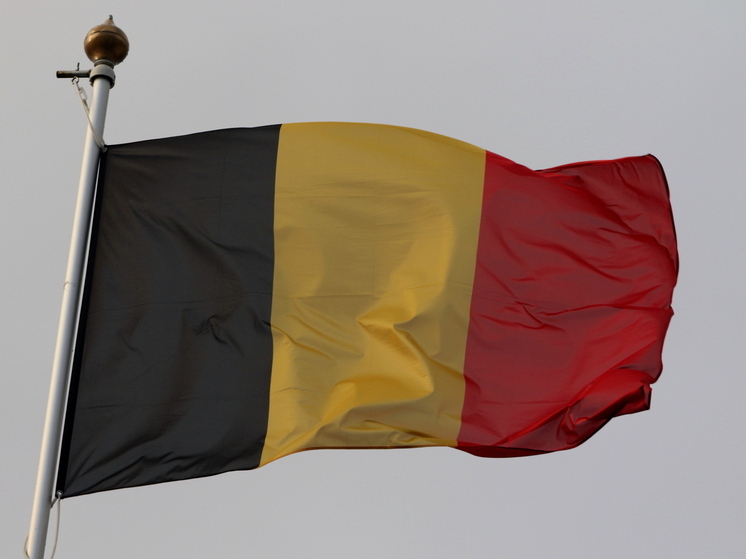 Le Soir: Бельгия рассчитывает ежегодно получать 1,2 млрд евро с активов России