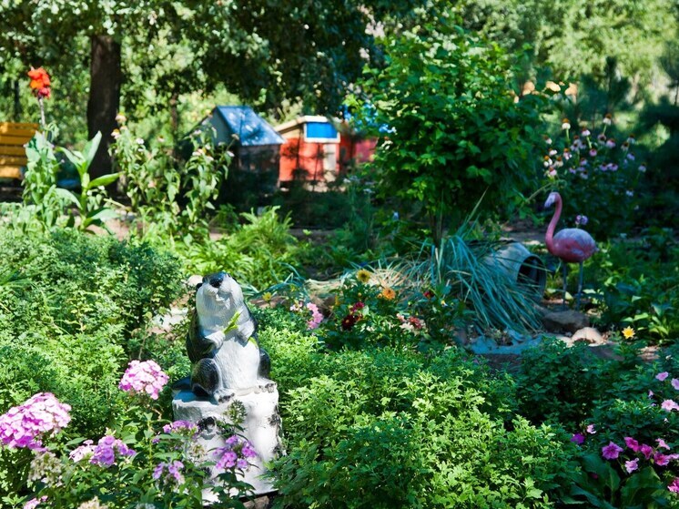 Волгоградцам рассказали, как выгодно избавиться от ненужной дачи