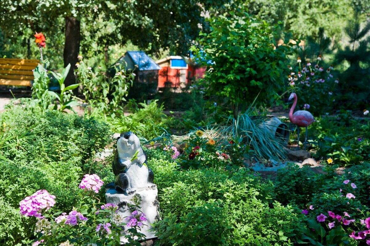 Волгоградцам рассказали, как выгодно избавиться от ненужной дачи