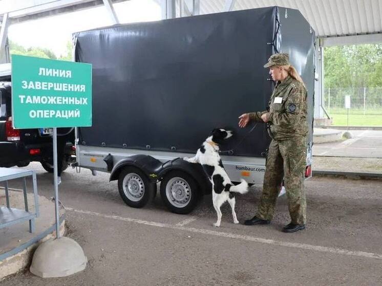 Михаил Ведерников поздравил работников и ветеранов таможенной службы с профессиональным праздником