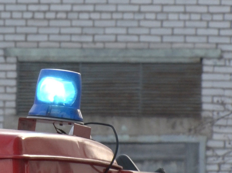 В Приозерске горел цех по производству панелей МДФ
