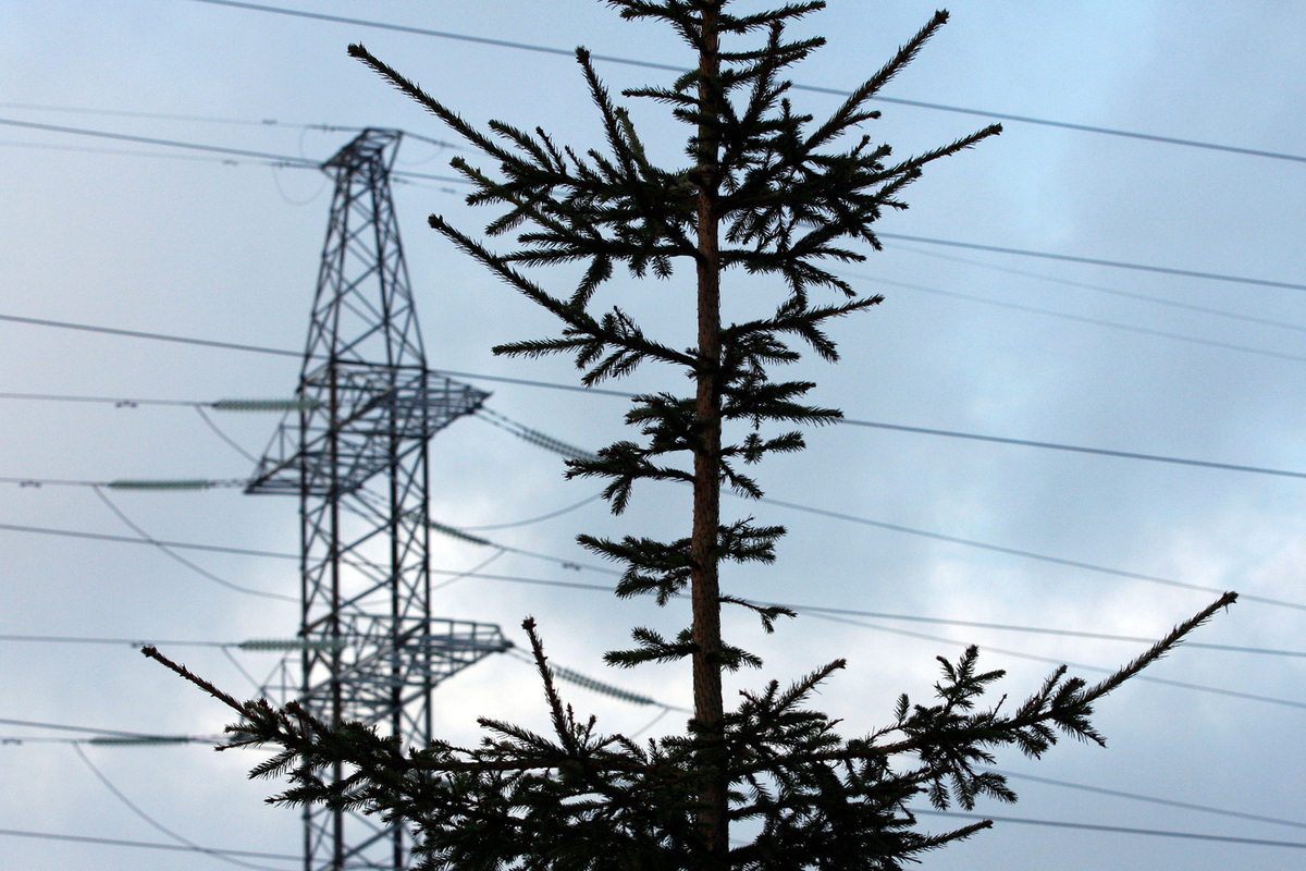 Emergenza elettricità nella regione di Cherson: 100.000 persone senza corrente a causa di un guasto alla stazione elettrica
Approfondimento
Il guasto alla stazione elettrica ha comportato la sospensione dell'erogazione di elettricità in diverse aree della regione, lasciando senza elettricità un numero significativo di persone. Secondo il governatore della regione, Vladimir Saldò, circa 100.000 abitanti in 96 località sono stati colpiti da questo incidente.
Possibili Conseguenze
La mancanza di elettricità può avere conseguenze significative sulla vita quotidiana delle persone, inclusa la difficoltà di accesso a servizi essenziali come l'acqua potabile, il cibo e le comunicazioni. Inoltre, la mancanza di elettricità può anche influire sulla sicurezza pubblica e sulla capacità di rispondere a emergenze.
Opinione
Purtroppo, non ci sono opinioni ufficiali disponibili al momento, ma è chiaro che la situazione richiede un'attenzione immediata per garantire il benessere e la sicurezza delle persone coinvolte. È fondamentale che le autorità locali e nazionali lavorino insieme per risolvere il problema e prevenire future interruzioni.
Analisi Critica dei Fatti
La causa del guasto alla stazione elettrica non è stata ancora resa nota, ma è importante condurre un'indagine approfondita per determinare le cause e prevenire futuri incidenti. Inoltre, è necessario valutare l'efficacia delle misure di emergenza attuate per garantire la sicurezza e il benessere delle persone colpite.
Relazioni con altri fatti
Questo incidente può essere collegato ad altri eventi simili verificatisi nella regione, sottolineando l'importanza di migliorare l'infrastruttura elettrica per prevenire future interruzioni. Inoltre, la regione di Cherson ha già affrontato sfide significative in termini di infrastruttura e servizi pubblici, e questo incidente mette in luce la necessità di investimenti e miglioramenti per garantire la stabilità e la sicurezza della popolazione.
Contesto storico
La regione di Cherson ha una storia complessa e ha affrontato diverse sfide in termini di infrastruttura e servizi pubblici. Questo incidente è solo l'ultimo di una serie di eventi che hanno colpito la regione, e sottolinea la necessità di investimenti e miglioramenti per garantire la stabilità e la sicurezza della popolazione.
Fonti
La fonte di questo articolo è TASS, un'agenzia di stampa russa. Per ulteriori informazioni, si prega di visitare il loro sito web.