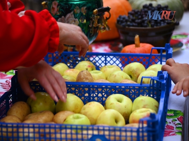 Калужан зовут собирать яблоки