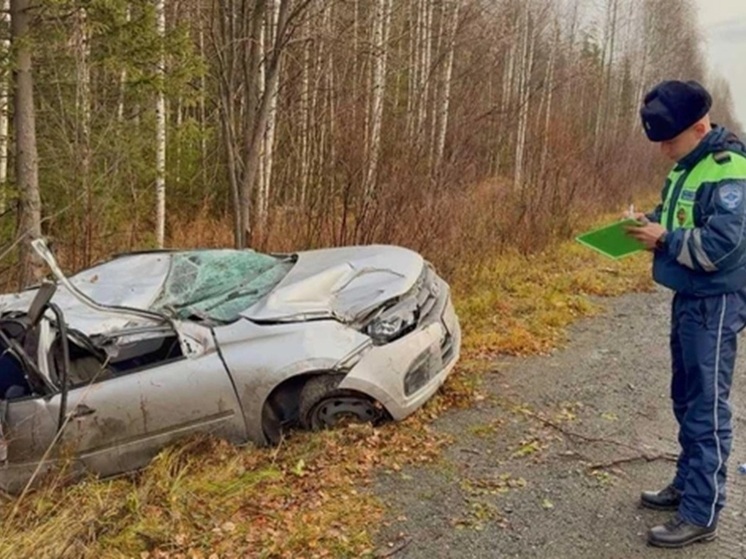 На свердловской трассе Lada Granta вылетела в кювет, погиб отец водителя