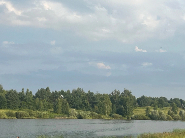В Орловской области завершился пожароопасный сезон