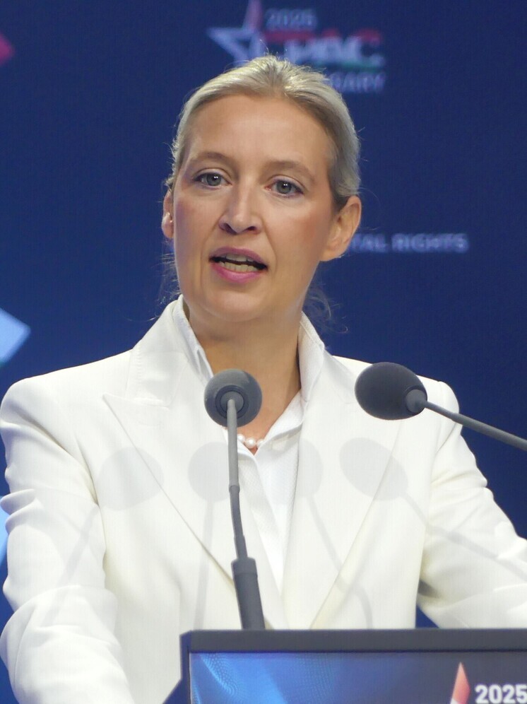 Германия — AfD впереди, но лидерство с оговорками