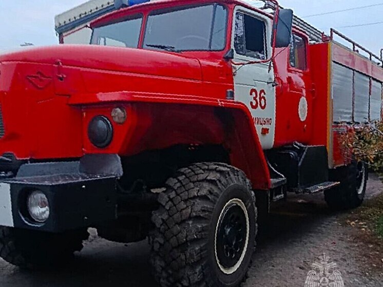 За сутки в Курской области обезвредили 18 взрывоопасных предметов