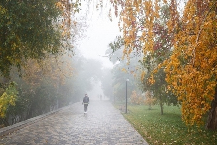 Previsioni Meteo per Volgograd: Piogge e Nebbia Previste per il 26 Ottobre