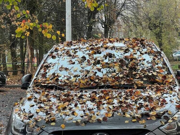 Какие автодетали воруют чаще всего, рассказали страховщики