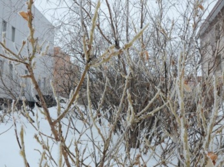 В воскресенье на большей части Чукотки пройдет снег