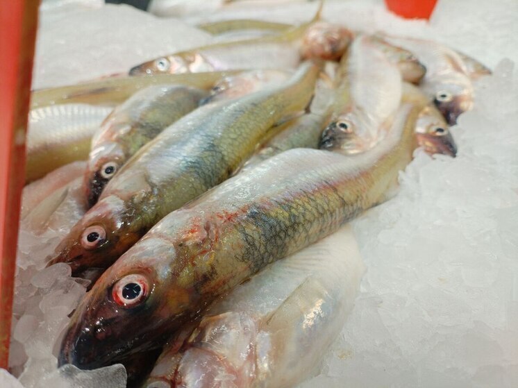 Врач раскрыла, какие продукты нужно есть осенью