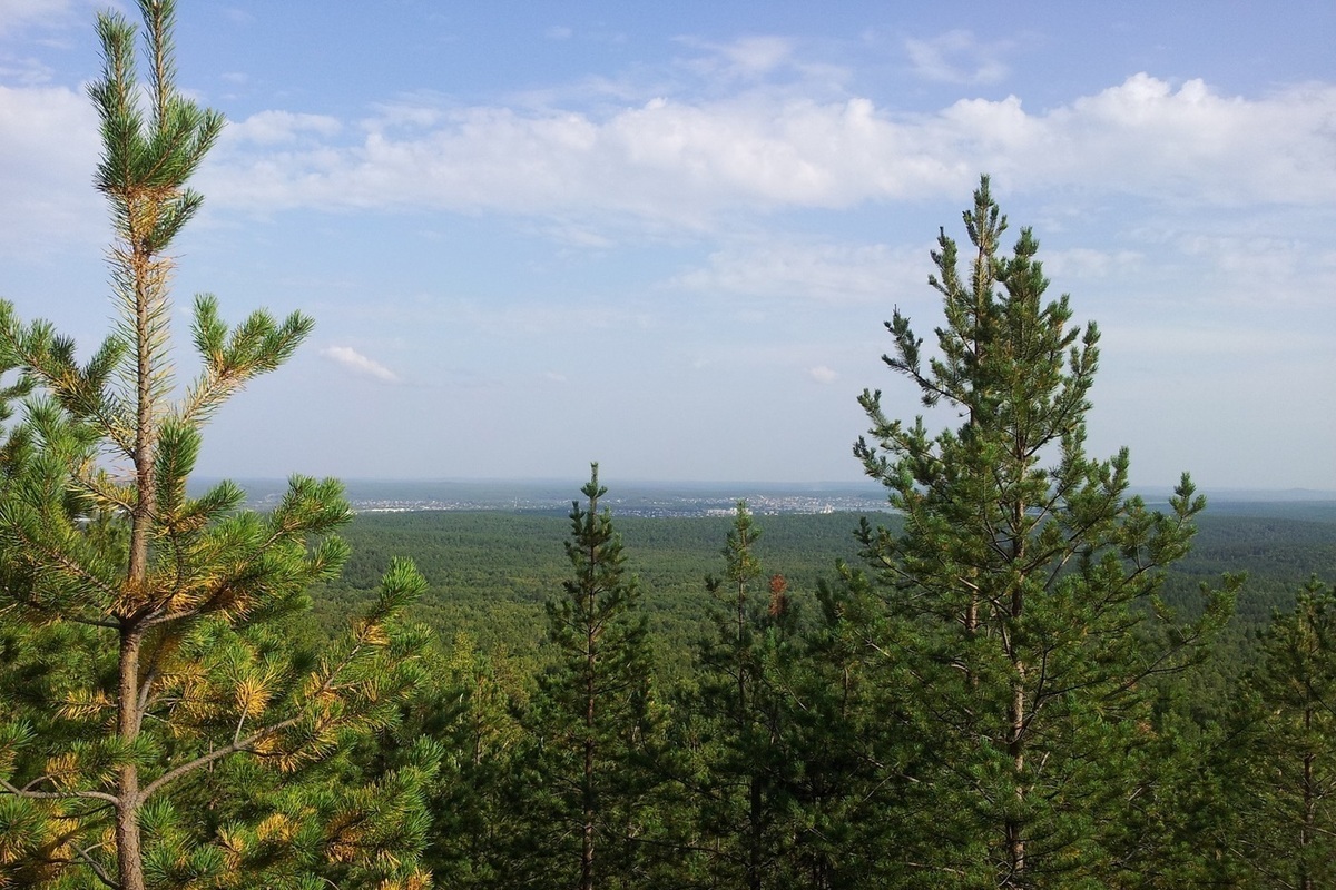 Cacciatore disperso nel bosco di Pervoural'sk ritrovato sano e salvo dopo una lunga ricerca