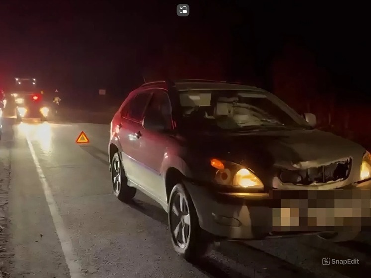 55-летний мужчина погиб под колёсами "Лексуса" в Томске