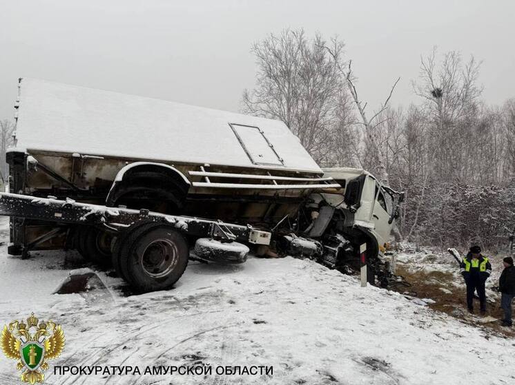 Новой информацией о пострадавших ДТП «Подъезда к Благовещенску» поделилась прокуратура