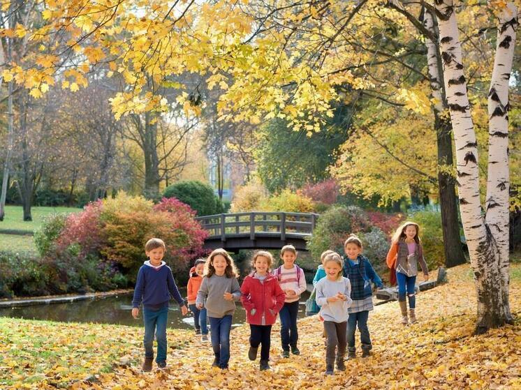 Осенние каникулы: как сделать их незабываемыми для школьников