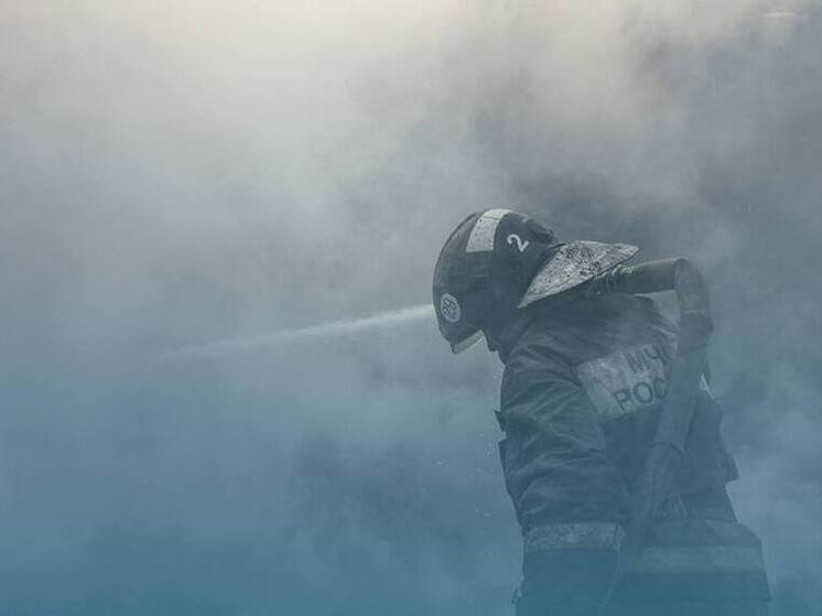 За сутки в Новосибирской области произошло 20 пожаров