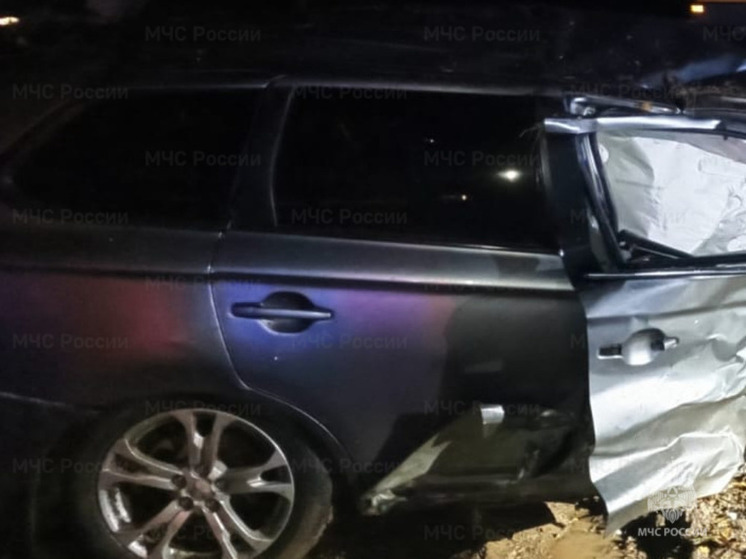 Под Тарусой в полночь Mitsubishi  оказался в кювете