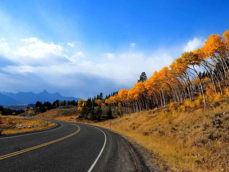 Ограничения скорости на трассах М-9 и А-122 введут в Псковской области 26 октября