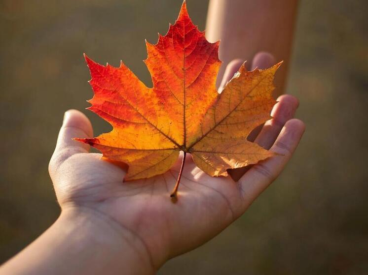 26 октября 2025 года: Приметы, советы и запреты дня Агафона-Обережника