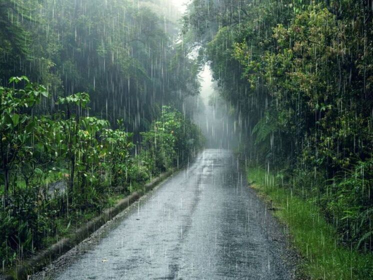 В Херсонской области сегодня местами пройдет дождь при +18 градусах