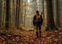 В Ростовской области с начала ноября открывается охотничий сезон на лис, зайцев-русаков, енотовидных собак и корсаков