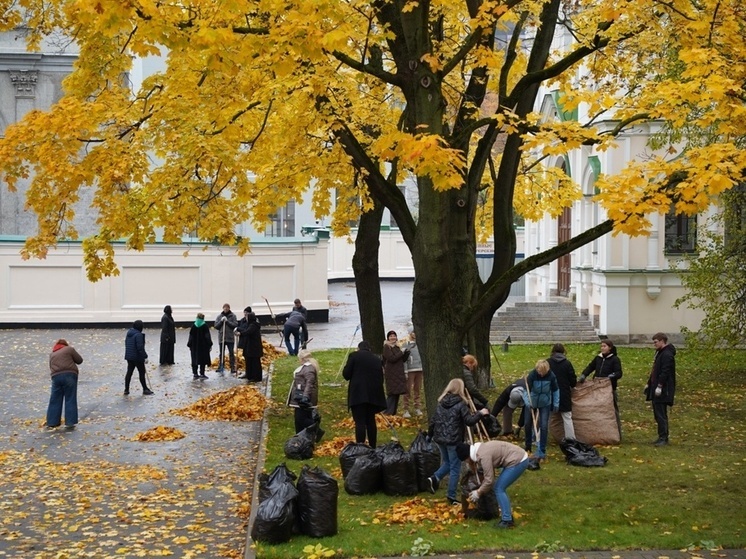 20 тысяч человек вышли на субботники в Московском районе Петербурга