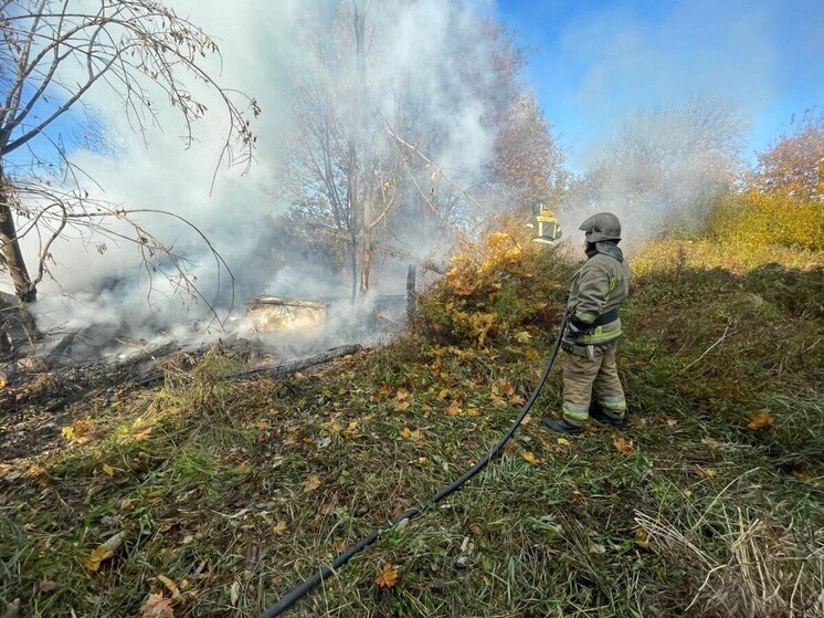 За сутки в Ленобласти произошло 10 пожаров и 3 ДТП
