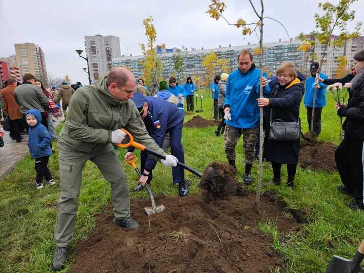 Кленовую аллею высадили в Петербурге в память о погибших участниках СВО