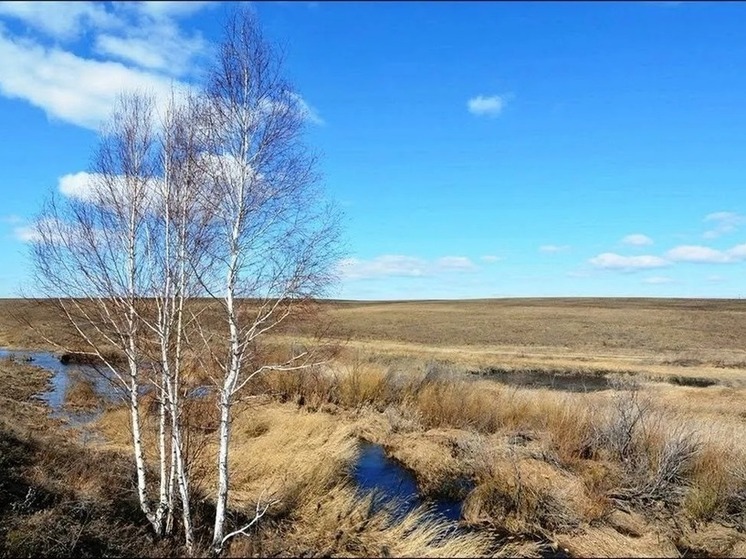 Завтра можно по приметам предсказать погоду на весну в Калмыкии