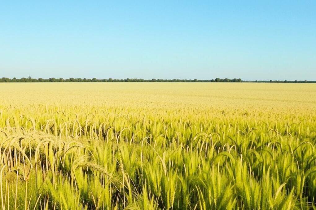 Дагестан занял первое место в России по числу участников Всероссийского агродиктанта