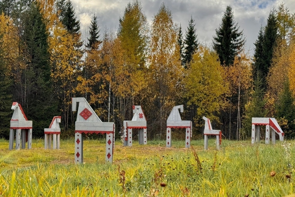 В Пинеге зарождается необычный проект