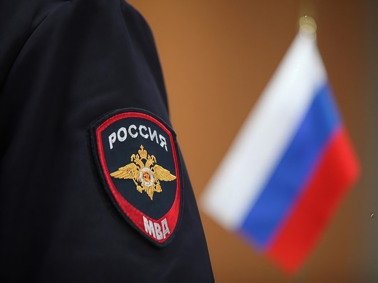 В Томске СК проверяет обстоятельства нападения собаки на ребенка у школы №58