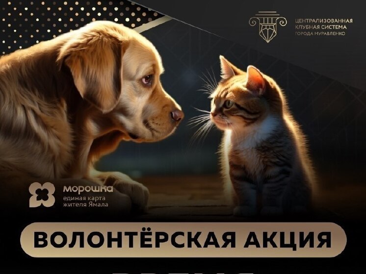 Муравленковцев приглашают помочь животным в рамках акции «Протяни руку лапе»