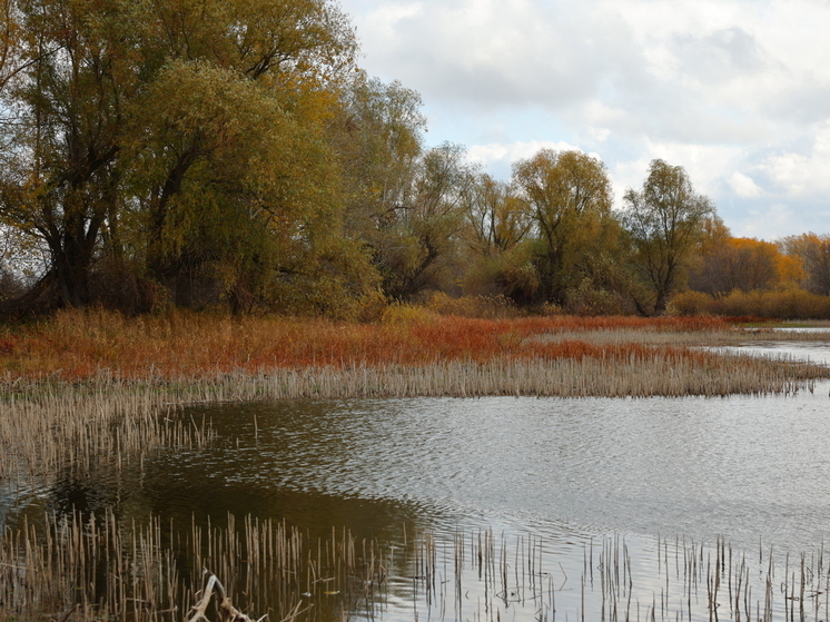 Волгоградцам выписали штрафы на 4 млн рублей за загрязнение природы