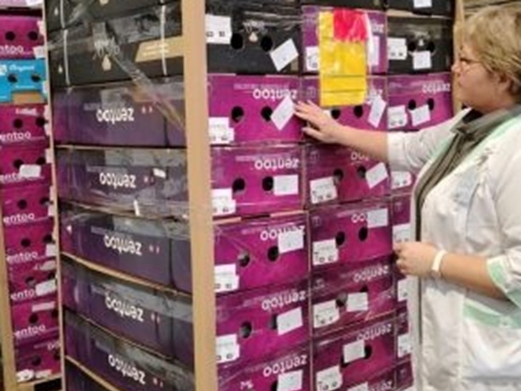 В Екатеринбурге в партии импортных роз нашли опасного вредителя