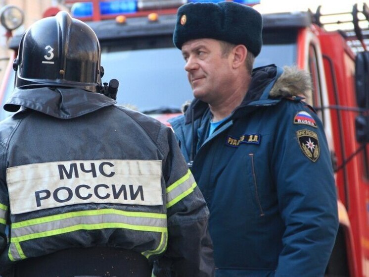 Владелец дома пострадал при пожаре в Полесском округе