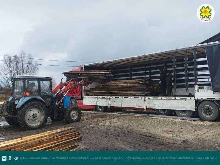 Лесничества Чувашии направили бойцам СВО 55 кубометров древесины