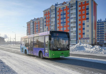 Ямальские работники автотранспортной отрасли отмечают свой профессиональный праздник