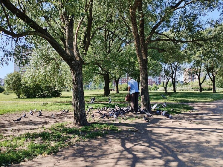 В Петербурге насчитали более 104 тысяч долгожителей